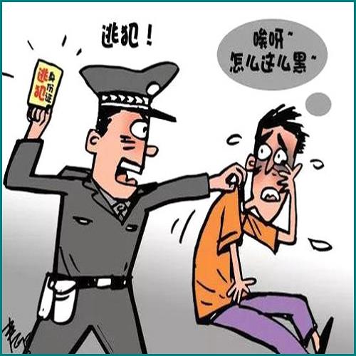 认罪认罚会写缓刑吗